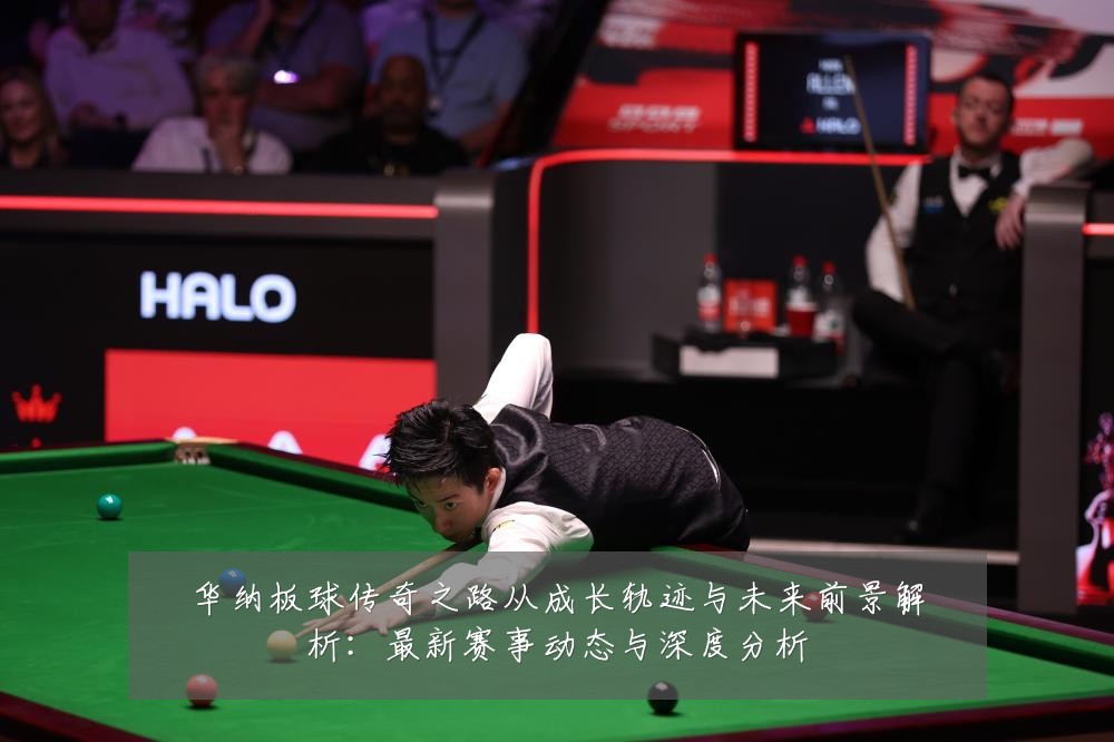 华纳板球传奇之路从成长轨迹与未来前景解析：最新赛事动态与深度分析